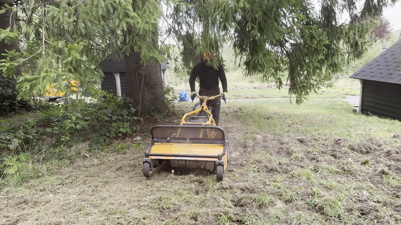 Forstmulcher von GrünWerk Harz räumt eine verwilderte Fläche